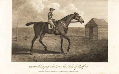 Jockey op de beroemde volbloed racer Mufti, behorend tot zijn genade de hertog van Bedford door English School