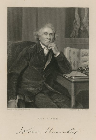 John Hunter door English School
