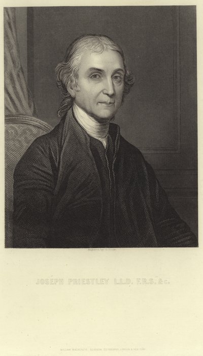 Joseph Priestley door English School
