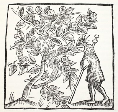 Jozef van Arimathea en de Glastonbury Doorn, illustratie uit Chap-books of the Eighteenth Century door John Ashton, gepubliceerd 1882 door English School