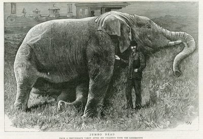 Jumbo, dood door English School