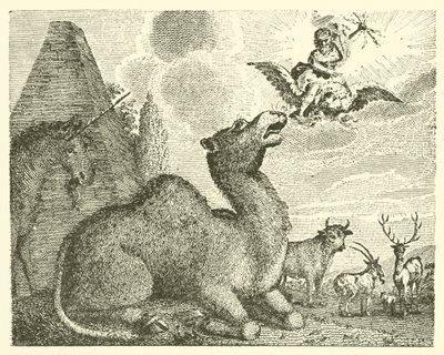Jupiter en de kameel (gravure) door English School