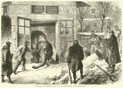 Een olifant doden voor voedsel in de Jardin d