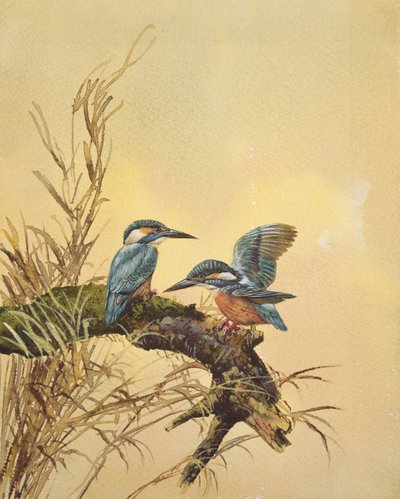 IJsvogels, ca. 1890 door English School