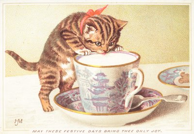 Kitten drinkt uit theekopje door English School