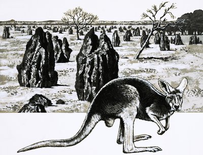 Grote termietenheuvels bij Darwin, Australië, en een kangoeroe op de voorgrond door English School