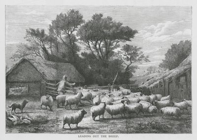 De schapen uitgeleide doen (gravure) door English School