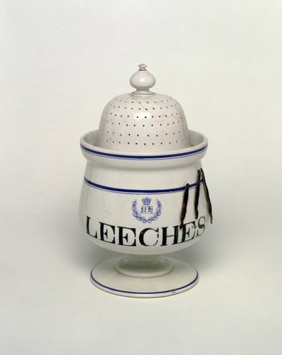 Bloedzuigerpot door English School