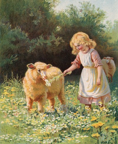 Klein meisje dat een bloem aan een schaap voert in een weide door English School