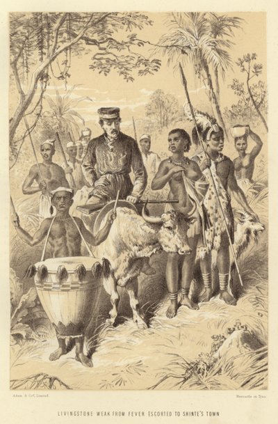 Livingstone zwak van koorts begeleid naar Shintes Town door English School