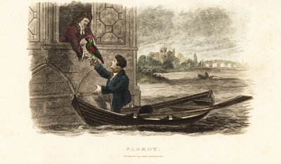 Londense schipper redt een pratende papegaai van koning Hendrik VIII van Engeland door English School