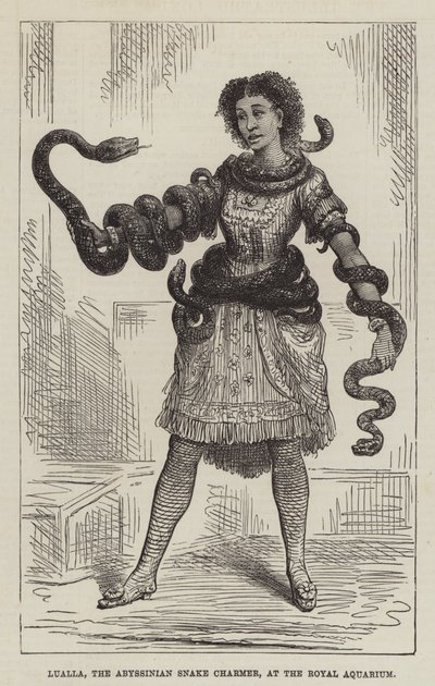 Lualla, de Abessijnse slangenbezweerder, in het Royal Aquarium door English School