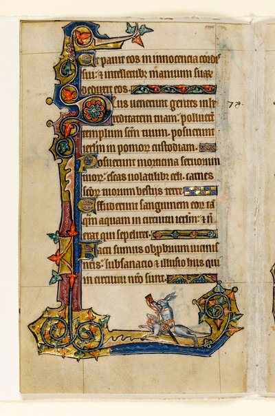 MS 1-2005, fol. 115v: Een konijn dat op een hond rijdt, jacht, marginaal decor uit de Macclesfield Psalter, Gebruik van Sarum, Oost-Anglia, c.1330 door English School
