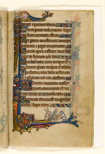 MS 1-2005, fol. 15r: Een haas en een hond die een orgel bespelen, marginaal decor uit de Macclesfield Psalter, Gebruik van Sarum, Oost-Anglia, c.1330 door English School