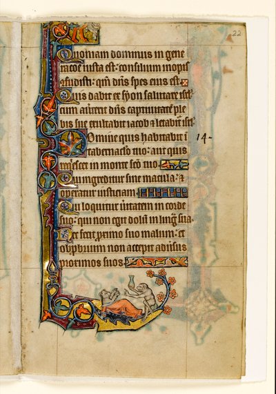 MS 1-2005, fol. 22r: De aap-dokter en zijn beer-patiënt, marginaal decor uit de Macclesfield Psalter, Gebruik van Sarum, Oost-Anglia, c.1330 door English School