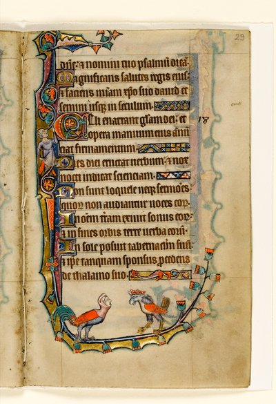 MS 1-2005, fol. 29r: Twee vogelachtige grotesken, marginaal decor uit de Macclesfield Psalter, Gebruik van Sarum, Oost-Anglia, c.1330 door English School