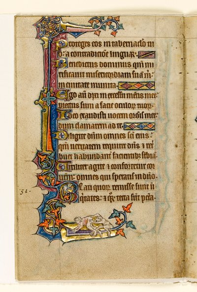 MS 1-2005, fol. 45v: Een aap die in de billen van een man kijkt, marginaal decor uit de Macclesfield Psalter, Gebruik van Sarum, Oost-Anglia, c.1330 door English School