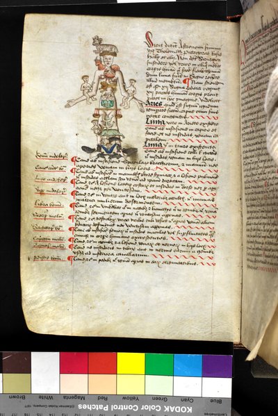 MS Hunter 251 f.47v, illustratie van een 