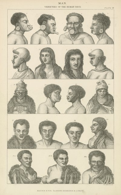 Mens. Variëteiten van het menselijk ras (gravure) door English School