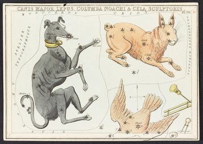Canis Major Lepus, uit 