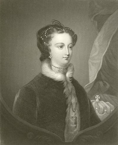 Mary Queen of Scots door English School