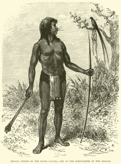 Mesaya-indiaan van de rivier Japura, een zijrivier van de Amazone door English School
