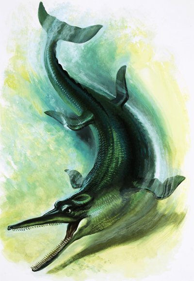 Metriorhynchus door English School