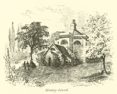 Apen Eiland door English School