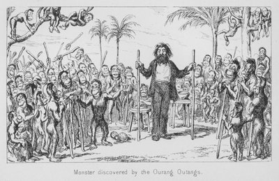 Monster ontdekt door de orang-oetans door English School