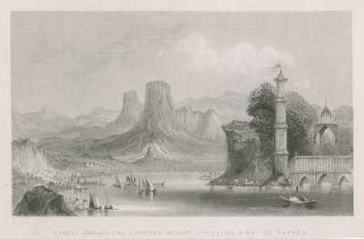 De Vesuvius en de Baai van Napels door English School