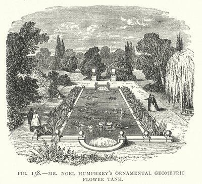 De sierlijke geometrische bloementank van meneer Noel Humphrey (gravure) door English School