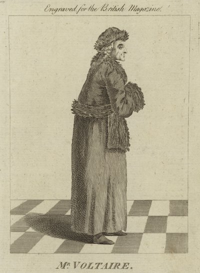 De heer Voltaire door English School