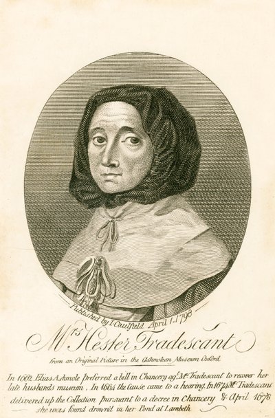 Mevrouw Hester Tradescant door English School