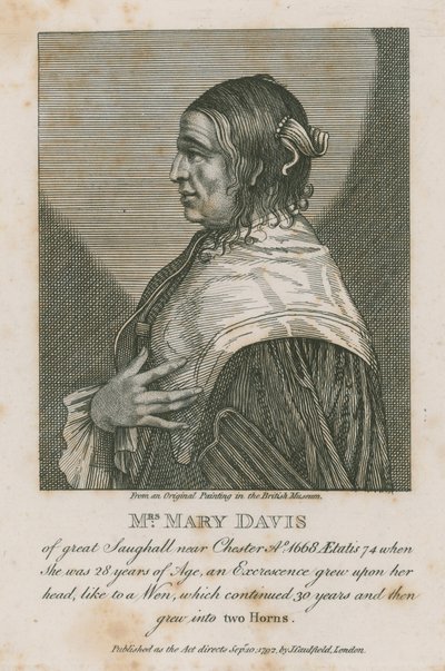 Mevrouw Mary Davis van Great Saughall bij Chester, 1668 door English School