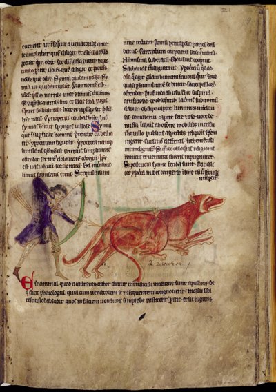 Jager die een pijl richt op twee bevers, uit een Bestiarium, vroege 13e eeuw door English School