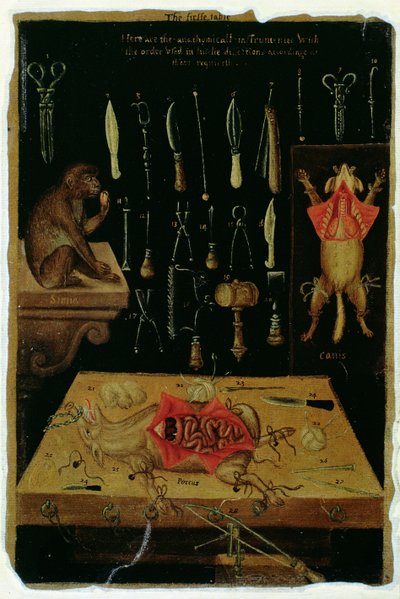Ms Hunter 364 Tafel I Dissectie-instrumenten, uit Anatomische Tafels, door John Banister (1540-1610) door English School