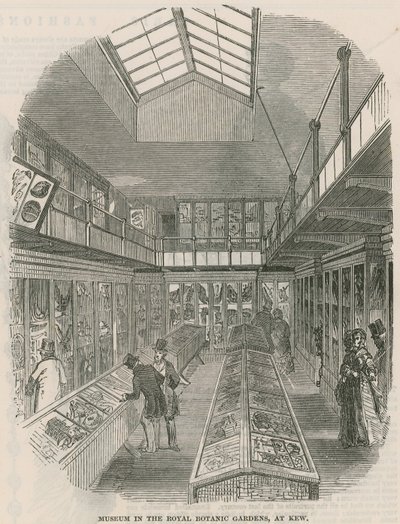 Museum in de Koninklijke Botanische Tuinen, in Kew door English School