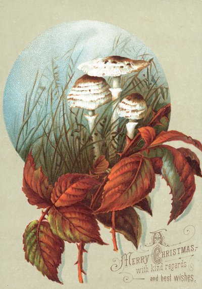 Paddenstoelen en Bladeren, Kerstkaart door English School