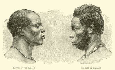 Inboorling van de Gabon; Tau-type van Kruman door English School