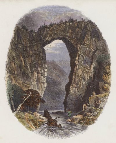 Natuurlijke Bruggen door English School
