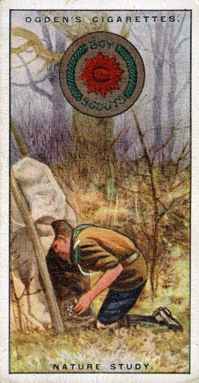 Natuurstudiebadge voor Scouts, Scout die een schuilplaats betreedt, 1929 door English School