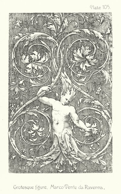 Natuur in Ornament: Groteske figuur, Marco Dente da Ravenna door English School