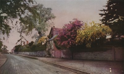 De schoonheid van de natuur onthuld in kleur door fotografie door English School