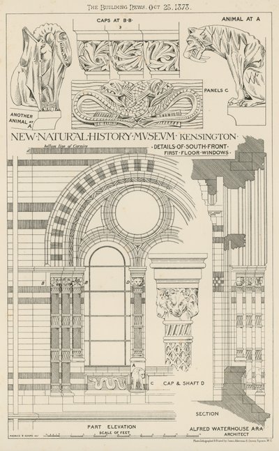 Nieuw Natuurhistorisch Museum, South Kensington, Londen door English School