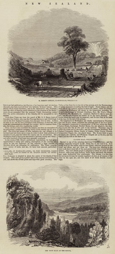 Nieuw-Zeeland (gravure) door English School