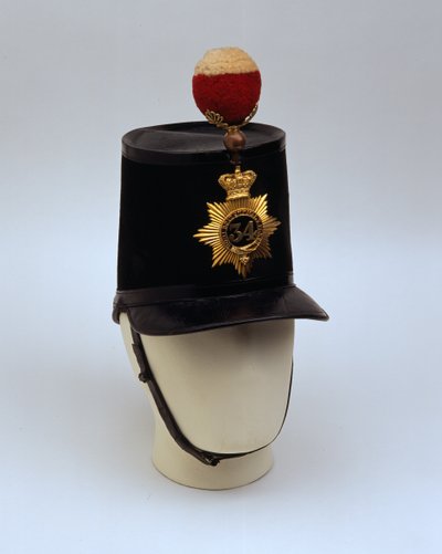 Officiers sjako, 1855 patroon door English School