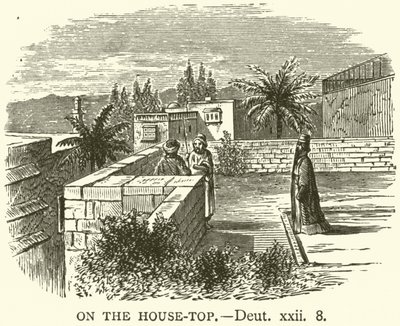 Op het Dak, Deuteronomium, xxii, 8 (gravure) door English School