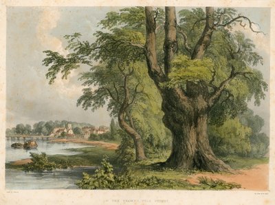 Op de rivier de Theems, nabij Putney, Londen door English School