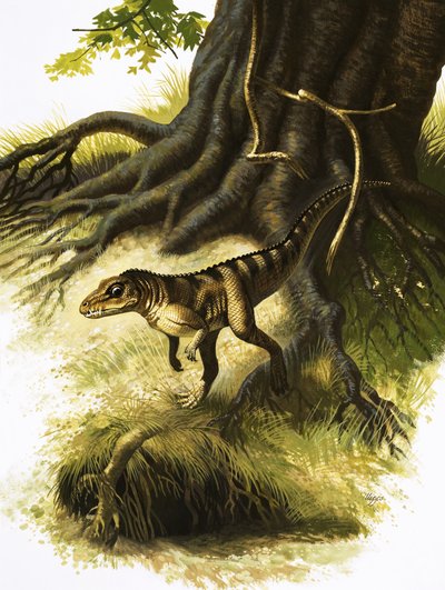 Onithosuchus door English School