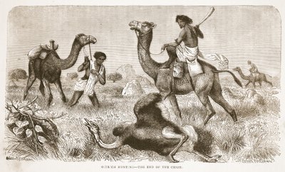 Struisvogeljacht - het einde van de achtervolging, illustratie uit De Geïllustreerde Editie van het Leven en de Ontdekkingen van David Livingstone door J. Ewing Richie, uitgegeven door A. Fullarton & Co., 1876 door English School